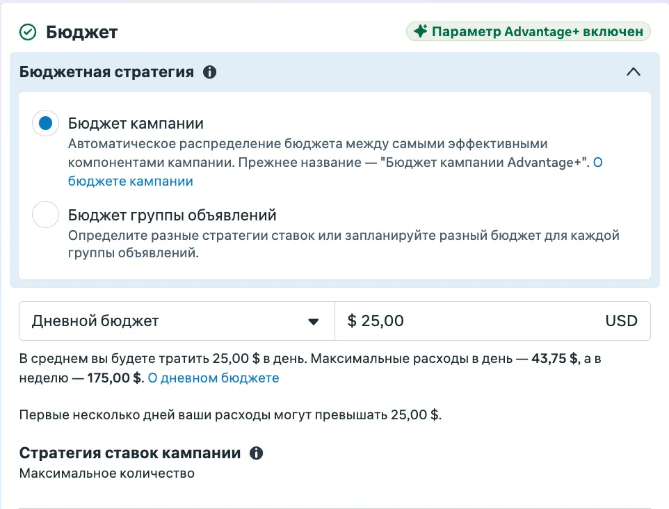 Раздел бюджета в Meta Ads Manager: переключатель между бюджетом кампании и бюджетом группы объявлений, выбран дневной бюджет