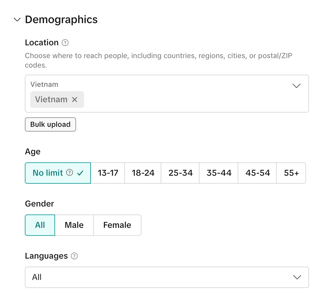 Блок Demographics: гео, возраст, пол и языки в группе объявлений TikTok