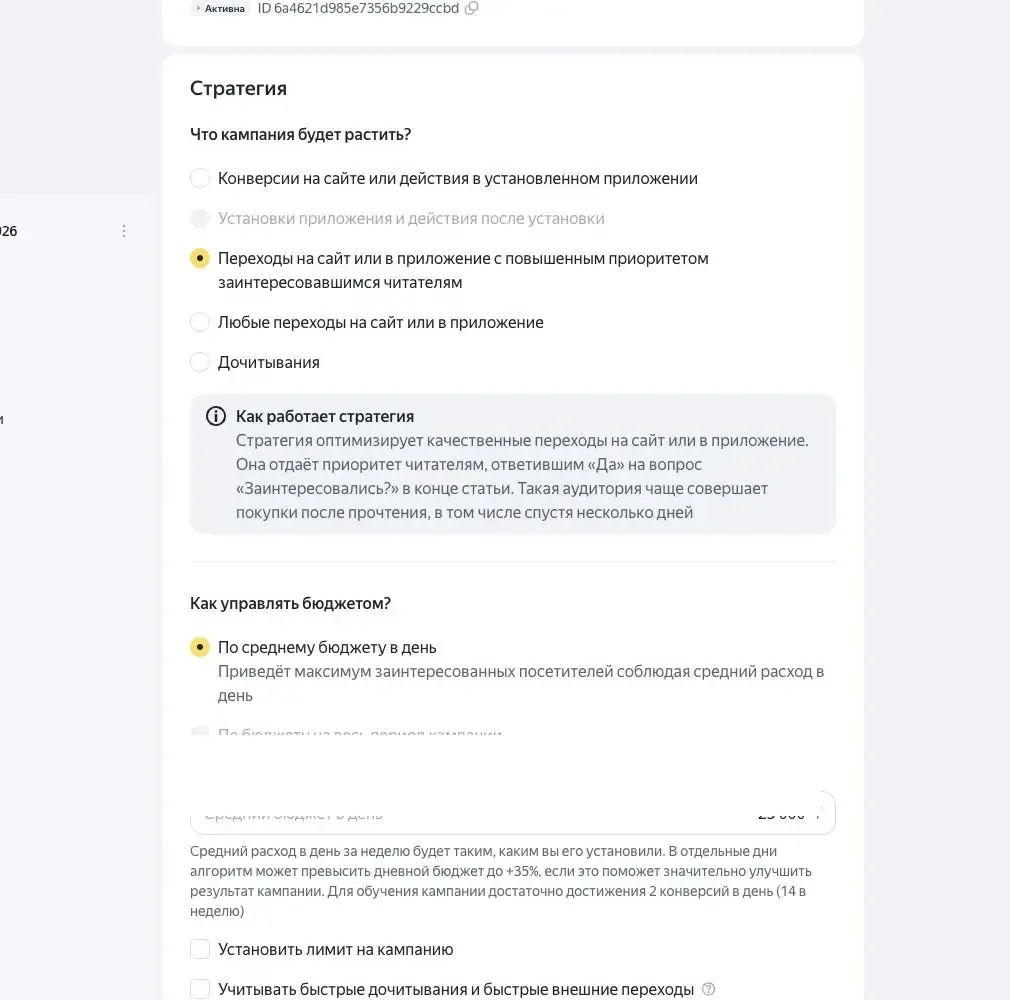 Настройки стратегии, бюджета и аудитории в Яндекс ПромоСтраницах