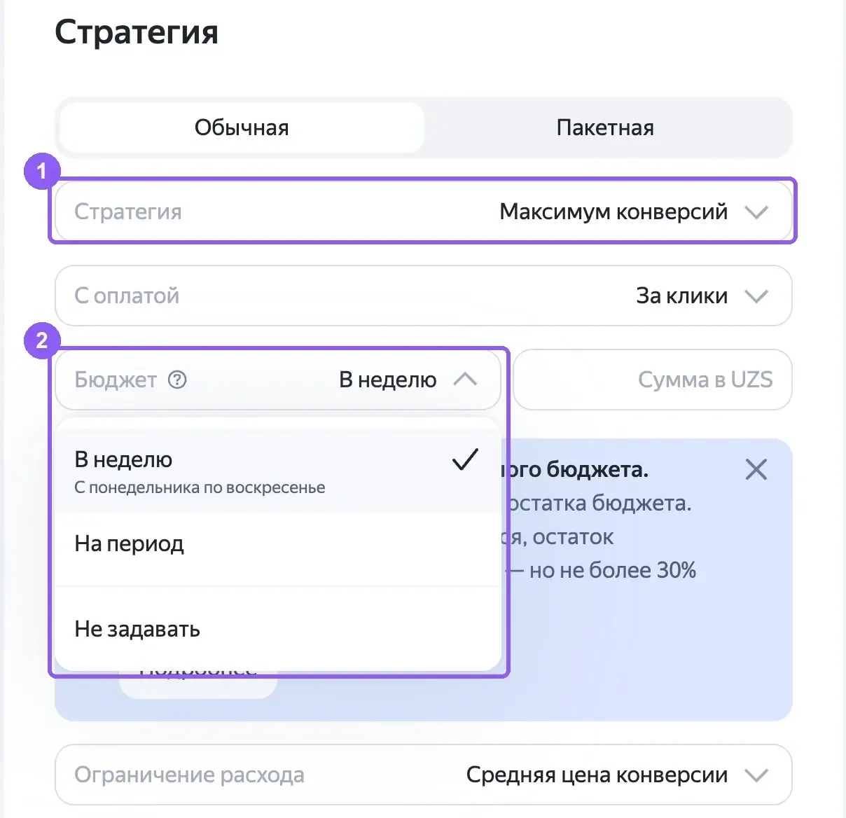 Настройка стратегии в ЕПК с выбором недельного бюджета или бюджета на период